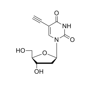EdU (5-Ethynyl-2′-deoxyuridine)