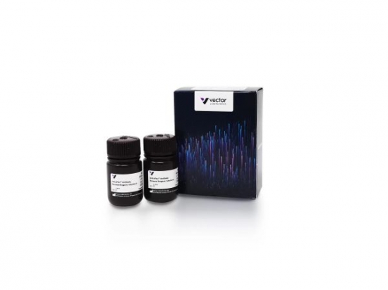 VectaPlex™ Antibody Removal Kit